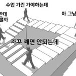 [이것좀봐줘] 얘들아 우리집 완전 콩가루
