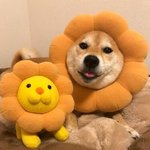 너네 07년생이 시비걸면 어떡할거임ㅋㅋㅋㅋ?