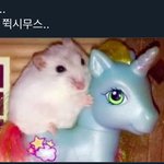 [NCT] 아 졸라웃곀ㅋㅋㅋㅌㅌㅌ