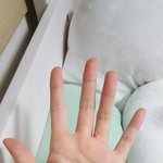 나 <b>단풍</b>손임?