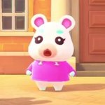 동숲 최애 적구가