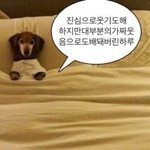 <b>Everything</b> 같은 노래 알아?