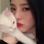 [드루와] 꿈파 <b>정주</b>행하는데 댓글을 못보니까