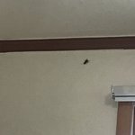 [꼭조언부탁] 나 쫌 살려줘,..(사진있음)