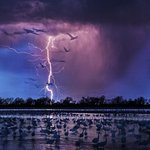 황홀경 그자체 소중한 기록문화유산들~~