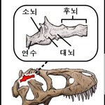 똑똑한