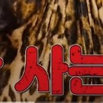 예쁜 구두를 위해서라면 발정도는 포기한다