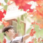 한국 드라마 영문 제목들