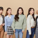 전 멤버가 개인 활동 많이 하는 그룹