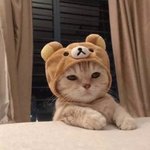얘들아 나 갤럭시로 찍으면 못생긴 <b>오이</b>되는데