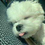 [드루와] 너네 생ㄹ1 <b>첫째날</b> 밤에