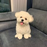 [드루와] 오늘 치마입는 거 좀 오바야?