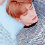 [NCT] 1달차 초즈니의 입덕 루트