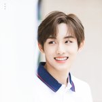 [NCT] 윙윙이