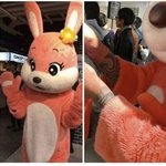 [댓글부탁해] 학교 <b>입결</b>은 어떻게 확인 해 ?