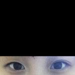 [댓글부탁해] 나 무<b>쌍</b>이 나음 <b>유쌍</b>이나음??