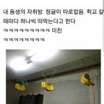 [19] 인스타 좋아요•팔로워 모으기