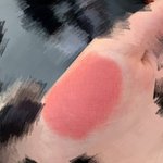 [드루와] 틴트 올려놓고 제<b>품명</b> 안알려주는애들은