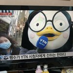 [댓글부탁해] 기상캐스터로 뉴스까지 출연한 <b>펭수</b>