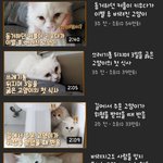 [이것좀봐줘] 갑수목장 보는 사람 있음 꼭 봐줘 제발