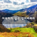 [꼭봐주세요] 미워하지 말고 잊어버려라~