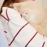 [댓글부탁해] 이런 <b>쿠션</b> 추천해주면 자다가 떡나옴