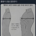[알페스] <b>갑분</b>싸