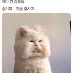 [드루와] 불싸이<b>버거</b> 무슨 맛이냐????!!!!!