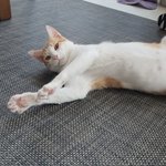 야 ㅅㅂ 대박 운동하는게 넘 재밌다