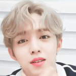 [세븐틴] 혹시 멤버들이 <b>자주</b>입는 밷인배드 손민수 해본사람