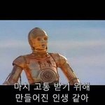 살 빠졌걸랑?
