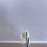 본인한달동안 나온 귀<b>지양</b>