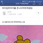 [드루와] 얘들아 <b>가루</b>틴트로 블러셔해바