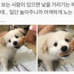 얘두라 위로 좀 <b>해조</b>라ㅠㅠㅠㅠ
