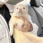 [댓글부탁해] 여신강림관련해서 트위터반응 개쳐웃겨ㅋㅋㅋㅋ