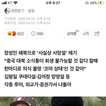 <b>와중</b>에 사진 ㅈㄴ 웃긴거 쓰네