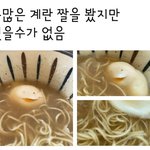 [드루와] <b>슈화</b> 돌고래짤 이거 닮지 않음?