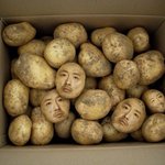 [드루와] <b>여</b><b>쿨</b>라이트 찰떡필터찾음 ㅎㅎ