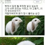 얘들아 너구리 매운맛 먹지마라 무조건 절대로