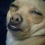 오늘 벽판 ㅈ노잼 <b>화력</b> 왜케 구림?