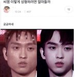 근데 ㄹㅇ <b>씨잼</b> 얼굴형만 제대로 됐으면