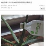 나 보자마자 <b>육성</b>으로 헤에!!!!!! 한 짤