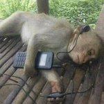 [댓글부탁해] 고2 국어 <b>문법</b> 쉬웠어?ㅠㅠ