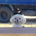 [댓글부탁해] 고3 국어 76이면 몇정도 <b>일거</b>같냐