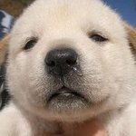 [댓글부탁해] 고1 국어 모고 <b>답지</b> 있는ㅈ사람 ㅠㅜ