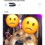 [댓글부탁해] 고1 사탐 모고 <b>답지</b>좀 ㅜㅜ