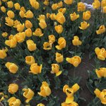 [조언부탁해] 고1 <b>영어</b> <b>노</b><b>베</b> 2등급이면 희망 있어?