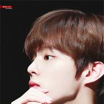 봄바람에도 하늘거릴 남돌
