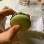 후앵 우느라 다 쭈글<b>탱이</b> 됬어ㅠㅠㅠㅠㅠㅠㅠㅠㅠㅠㅠ