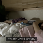 고돌링 진두부 <b>영상</b> 보는데 눈물나온다